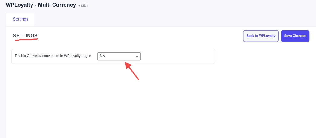 Multi-Currency Settings
